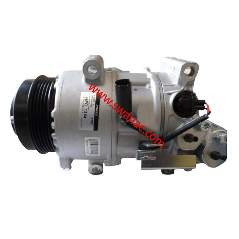 CPBE456.jpg