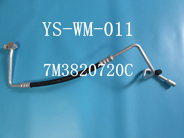 YS-WM-011.png
