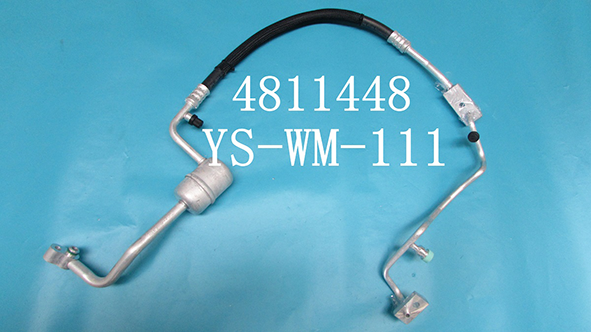 YS-WM-111.png