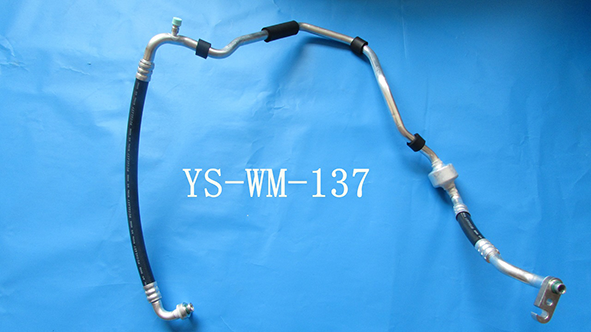 YS-WM-137.png