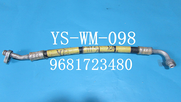 YS-WM-098.png