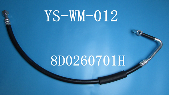 YS-WM-012.png
